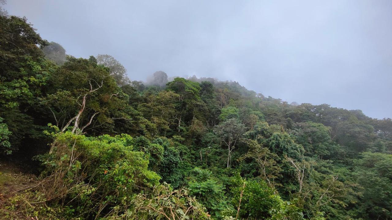 Minca Sintropia - Sustainable Lodge & Organic Coffee Finca Ngoại thất bức ảnh