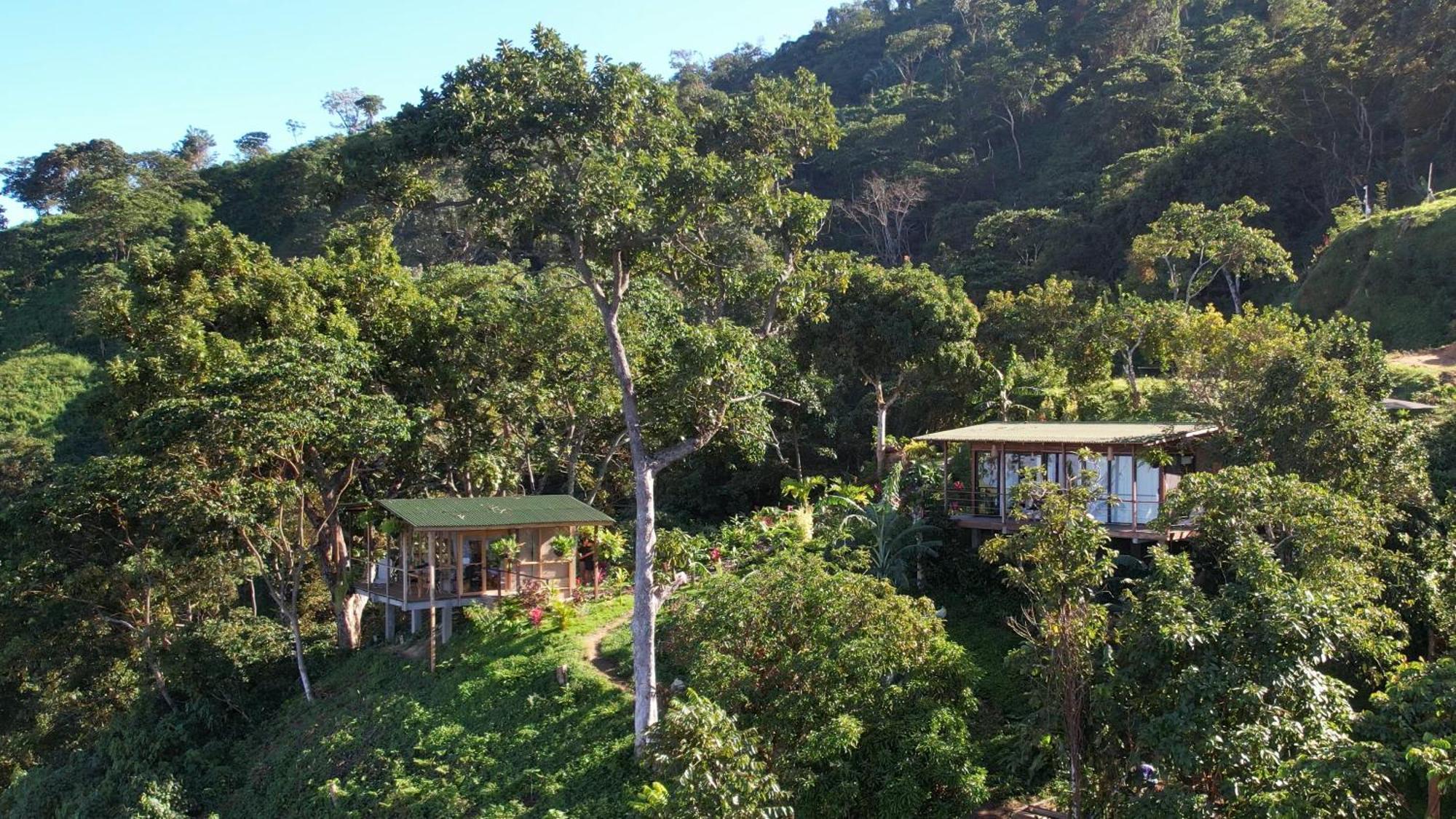Minca Sintropia - Sustainable Lodge & Organic Coffee Finca Ngoại thất bức ảnh