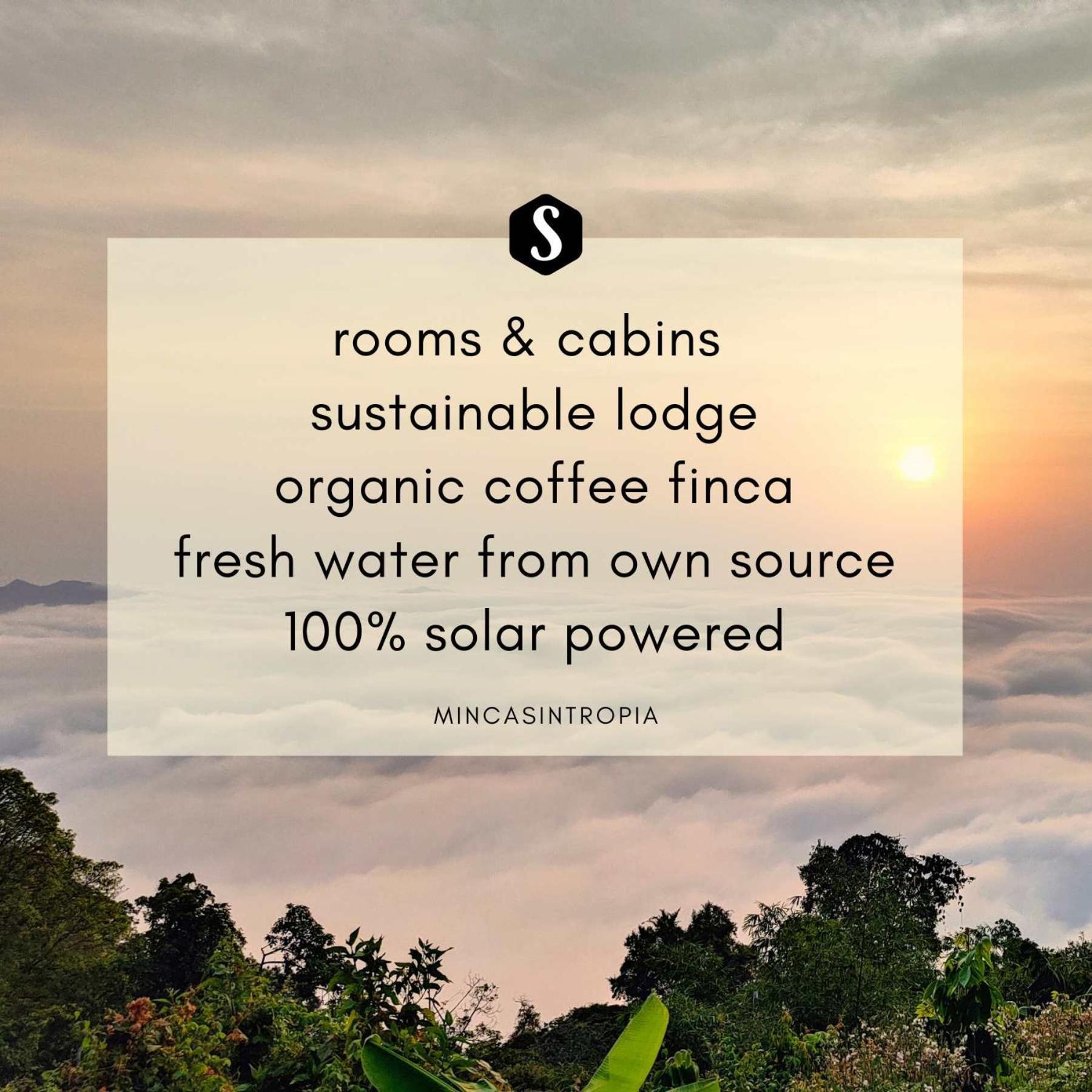 Minca Sintropia - Sustainable Lodge & Organic Coffee Finca Ngoại thất bức ảnh